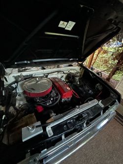 D21 hardBody