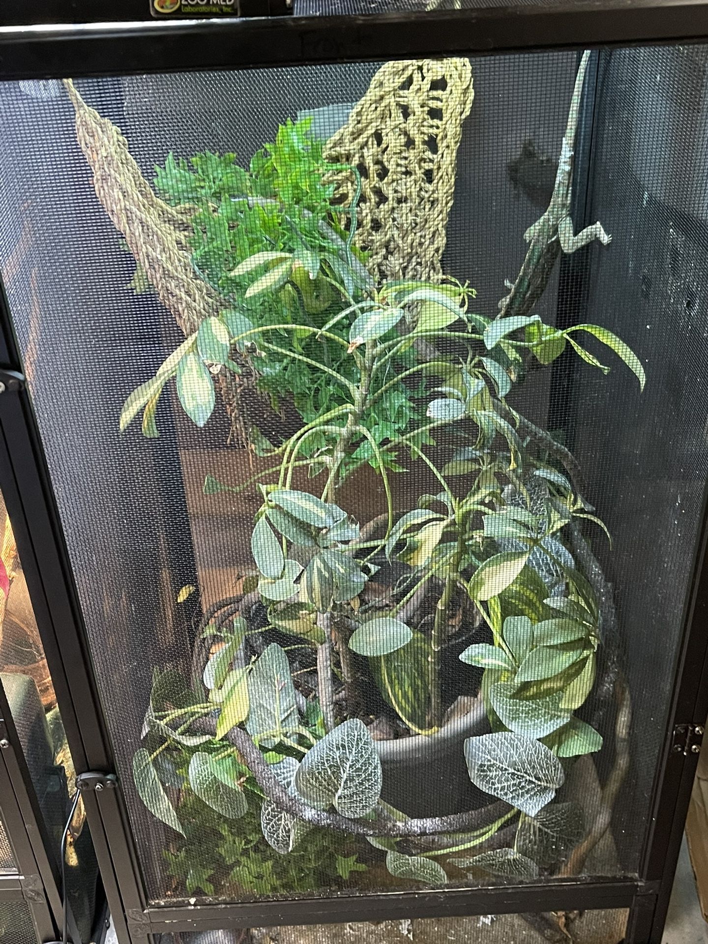 Reptile π¦ Cage. Great Value All Included
