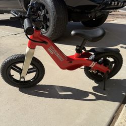 Electric Strider Bike 