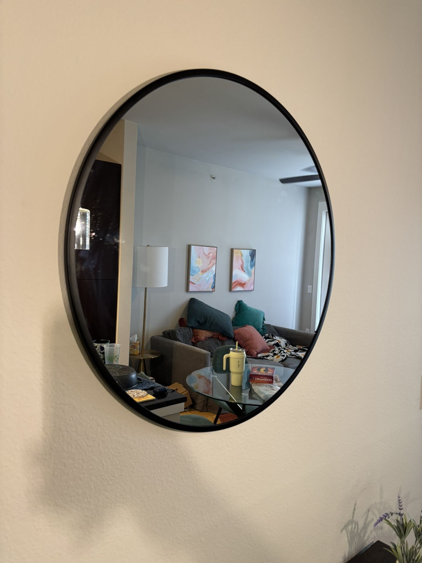 Round Mirror $35