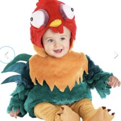 Disney Hei Hei Moana Infant Costume 9-12 Months