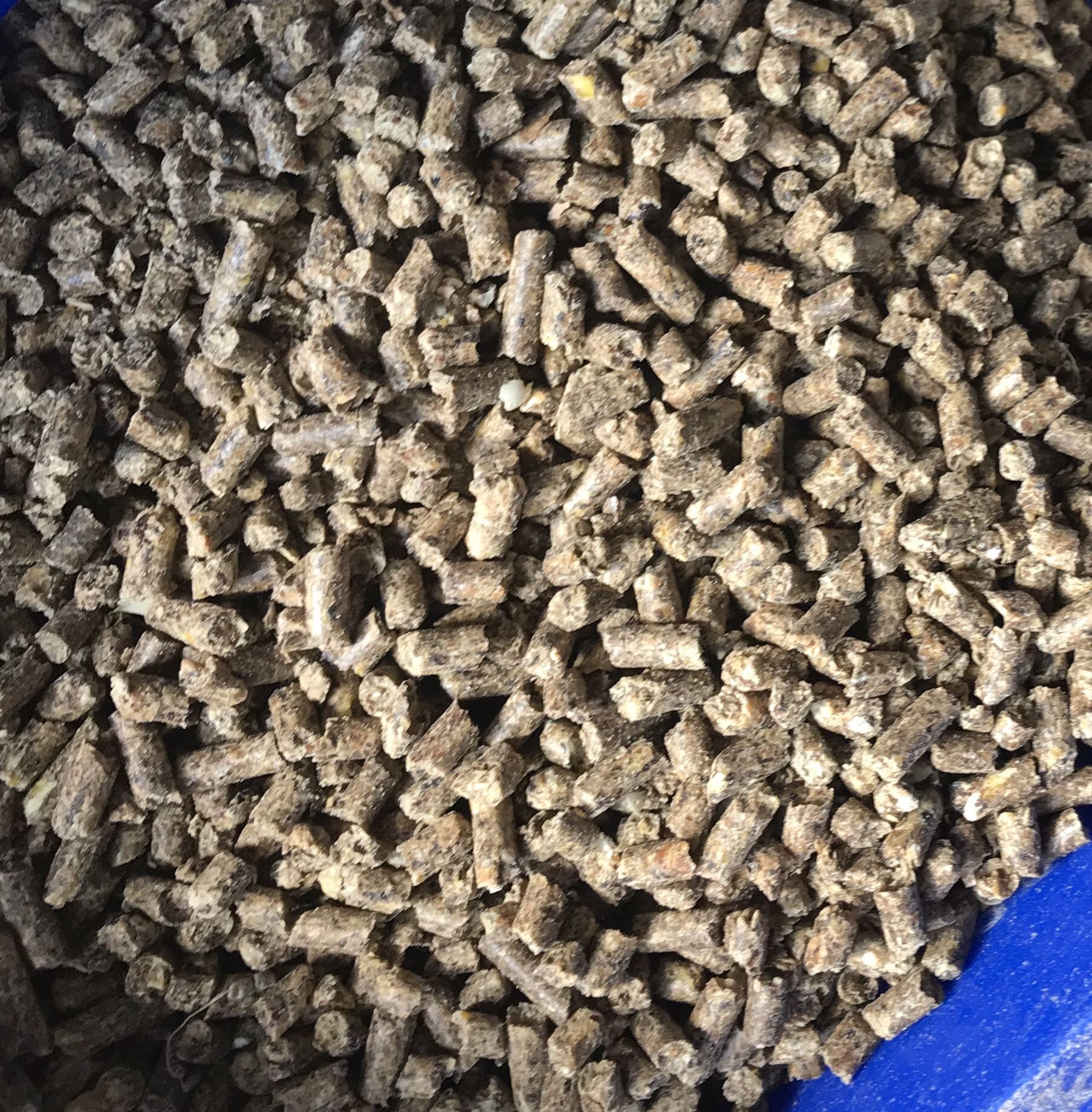 Livestock feed 50lb bags