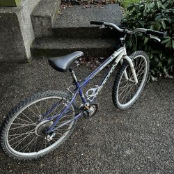 Womens Bike 