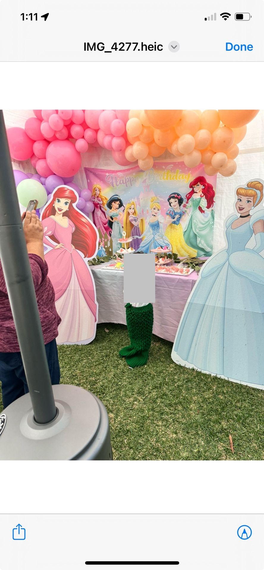 Disney Princess Party Cardboards 