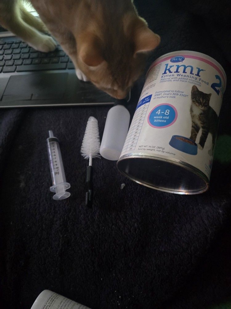 Free Kitten Formula And Bottle