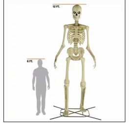 12 foot Home Depot skeleton