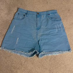 Pretty Little Thing Denim Shorts (Size 18)