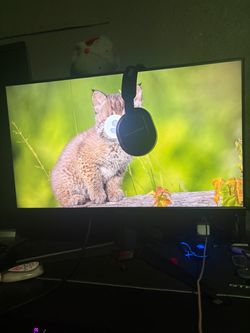 200 hz monitor need gone for 130-150 gone today