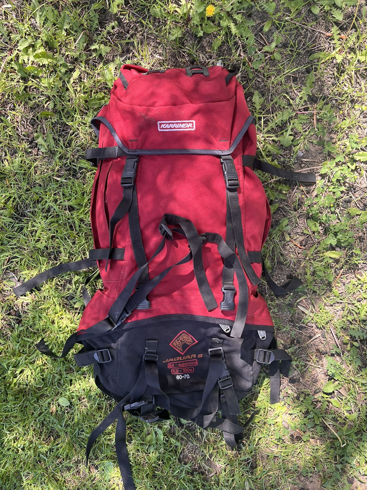 Jaguar Hiking Backpack