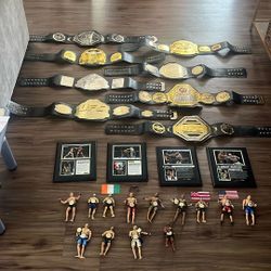 UFC / MMA Belts / Conor McGregor Plaques