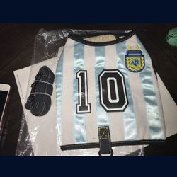 Dog Harness With Leash Size M