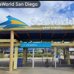 Sea World Tickets - $30
