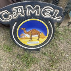 Neon camel sign