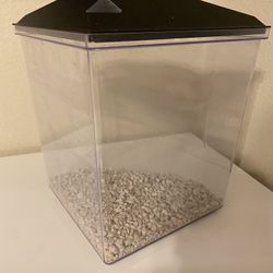 2.5 Gallon Fish Tank