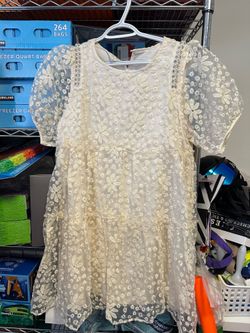 Cream Floral Embroidered Mesh Mini Dress
