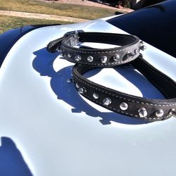 Leather Spiked  Studded Dog Collar