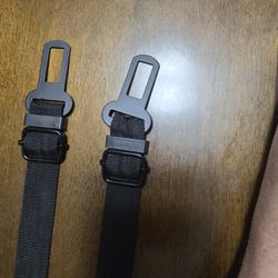 Dog's Car Seat Belts 