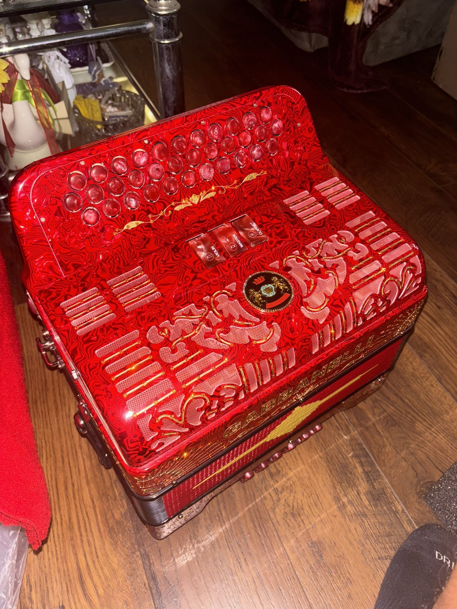 Accordion/ Acordeonista