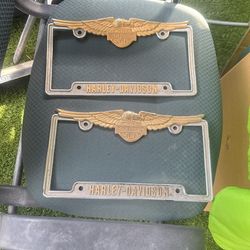 Harley Davidson Licence Plates