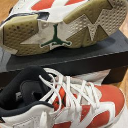 Jordan 6 Retro Gatorade