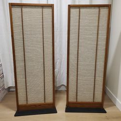 Magnepan MG-1 Speakers - Rare, Vintage, Excellent Condition
