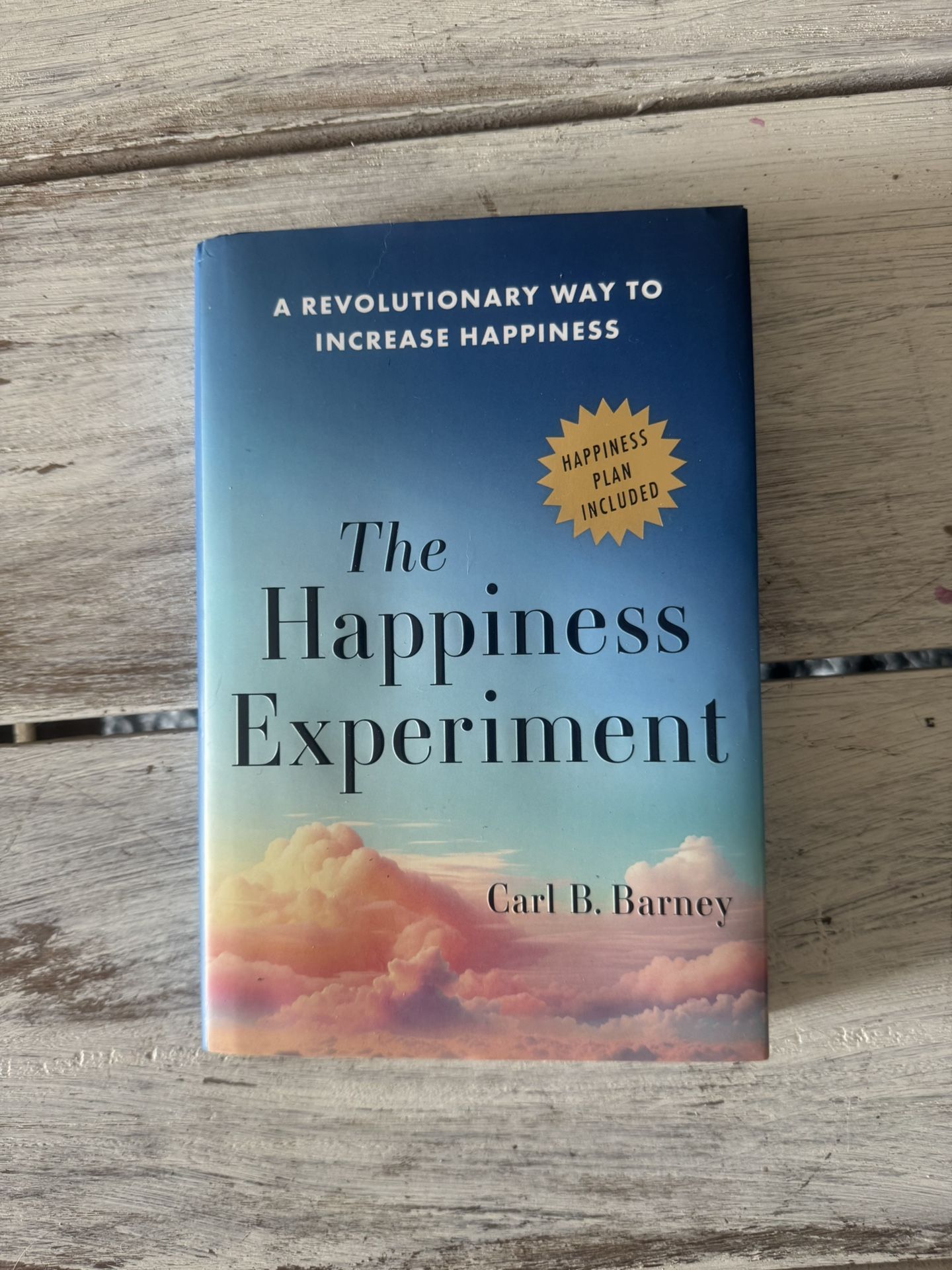 The happiness Experiment