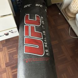 UFC Punching Bag