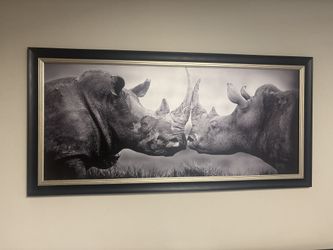 Rhino Frame