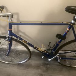 Specialized Allez 1986 Jim Merz Vintage Road Bike