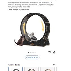 Cat Running Wheel 