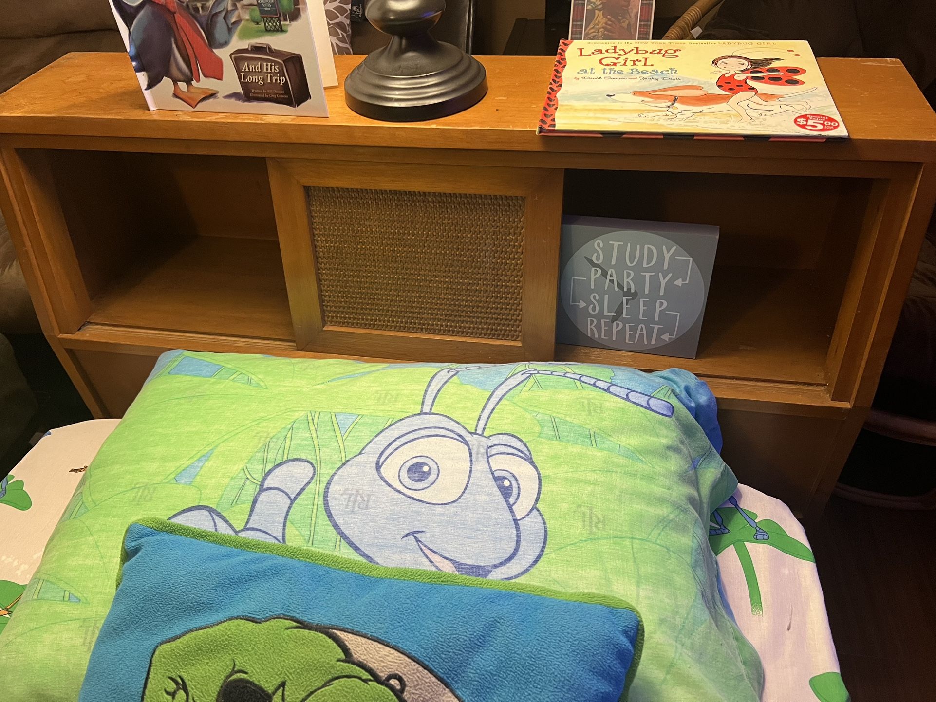 Twin Bookcase Bed