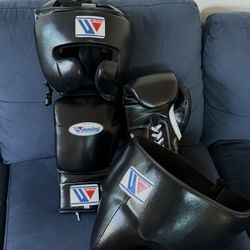 Wining Boxing Gloves 