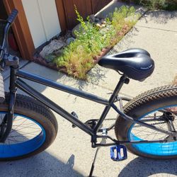 Fat Tire Bike