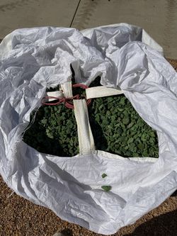 Rainbow Mulch Non toxic Green Grass Make offer