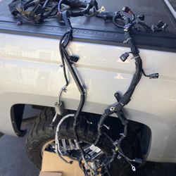 Harnes. De Cableado De Motor 