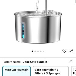 Cat Drinking Fountain