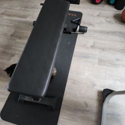 Pro Max Workout
