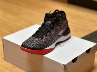 Lebron hot sale 16 floral