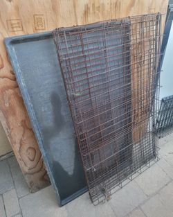 Large dog kennel