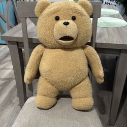 Talking Ted Stuffed Collectible 