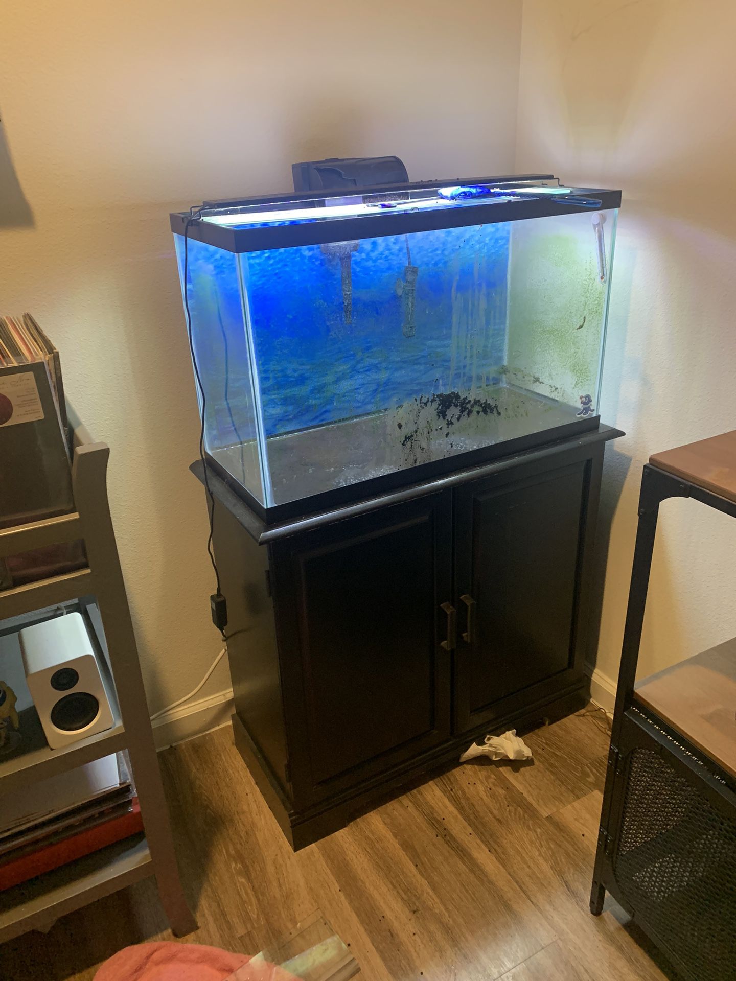 Fish Tank And Stand, Including Supplies