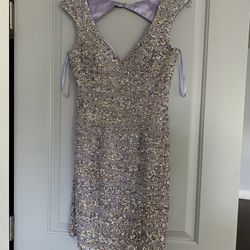 Sequin Dress Size 4