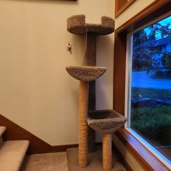 Free Cat Tree