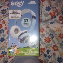 Bluetooth 2 In 1 Headphones 