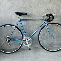 Vintage Nishiki Road Bike – 4130 Chromoly – New Tires/Tubes