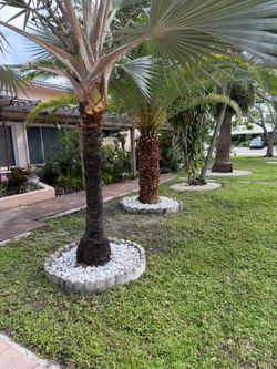 Sprinkler repair