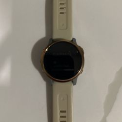 Garmin Fenix 6S Saphire