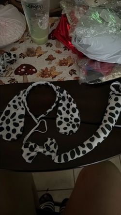 Dalmata