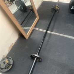 45 barbell with golds gyms weights 