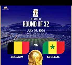 1 single Belgium Senegal ticket